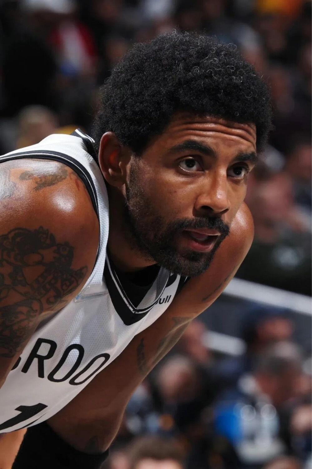 国武术队长 国武术队长